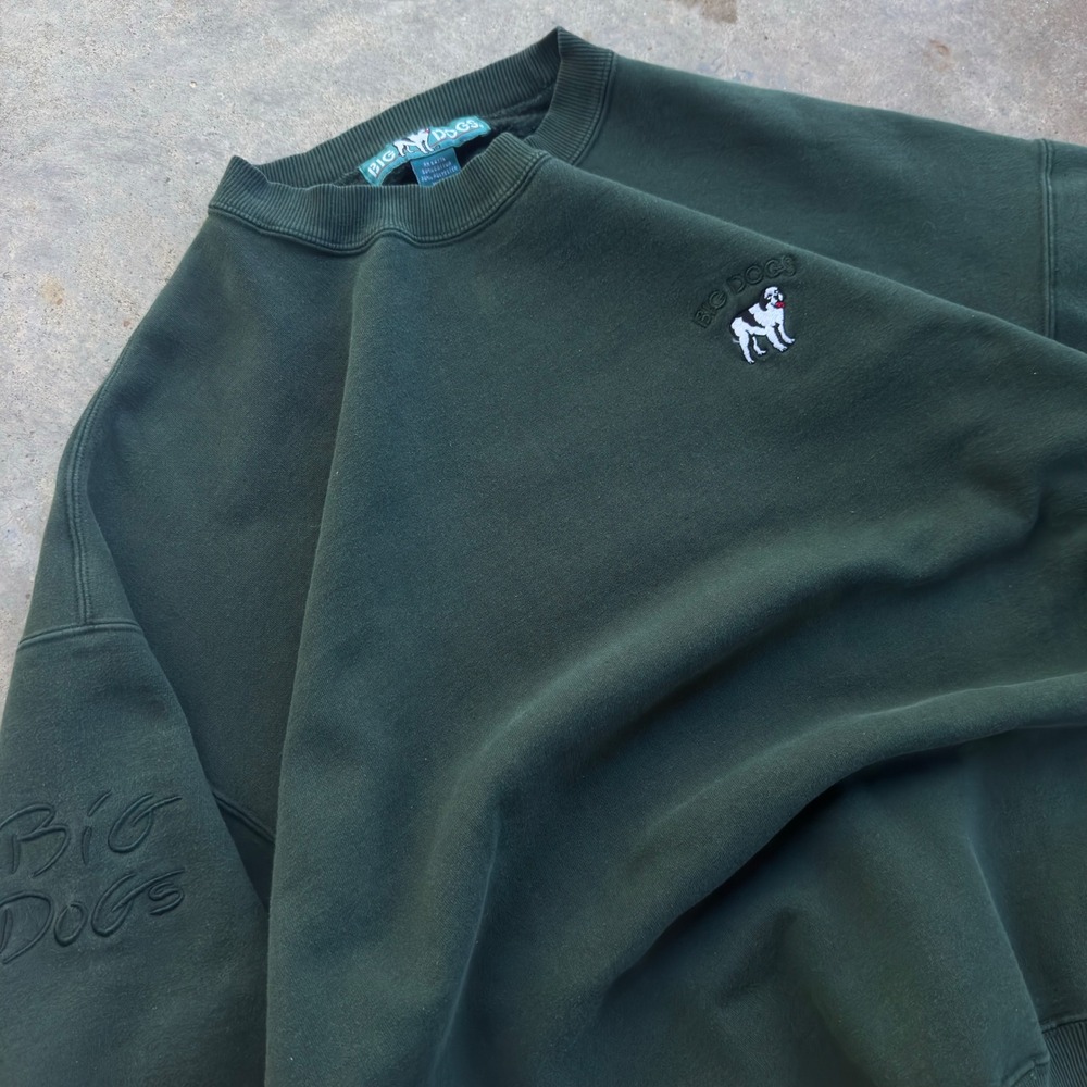 Vintage 90s Big Dogs Sweatshirt Gorpcore Naturecore Pine Green XL (j2)